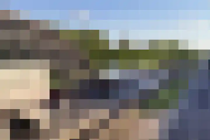 Meeuwenlaan 77 1 Amsterdam thumbnail 47