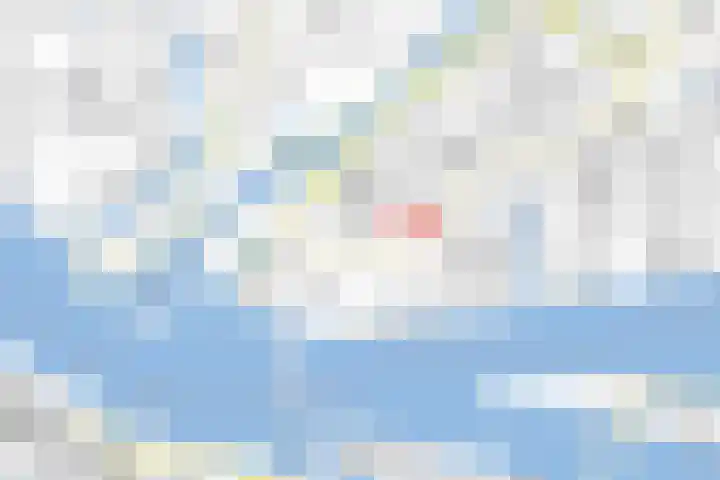 Meeuwenlaan 77 1 Amsterdam thumbnail 50