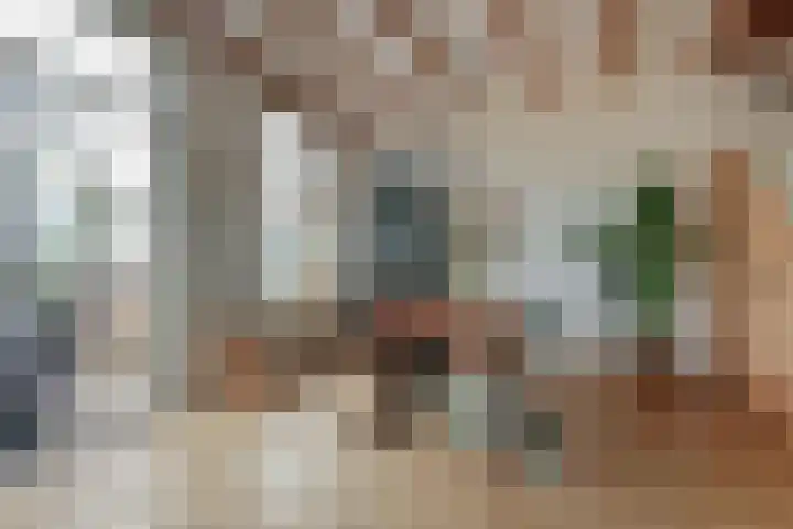 Meeuwenlaan 77 1 Amsterdam thumbnail 6
