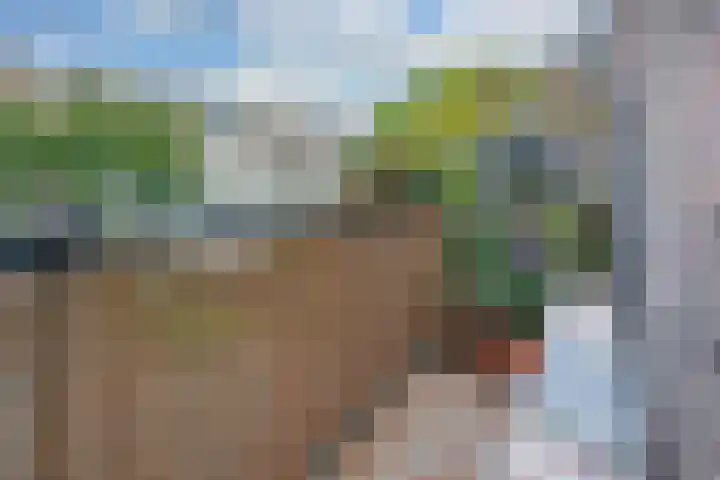 Meeuwenlaan 77 1 Amsterdam thumbnail 7