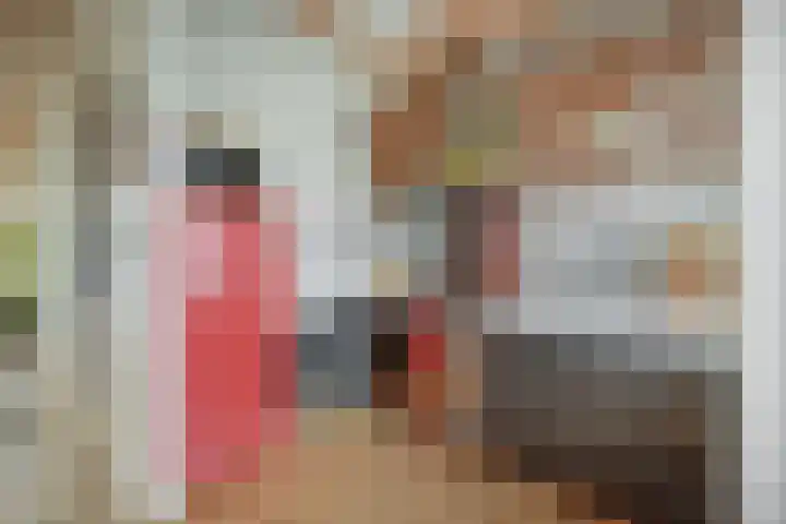 Meeuwenlaan 77 1 Amsterdam thumbnail 8