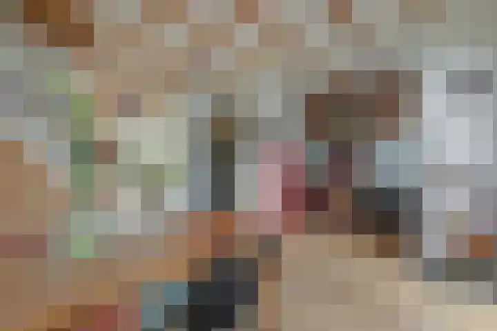 Meeuwenlaan 77 1 Amsterdam thumbnail 9