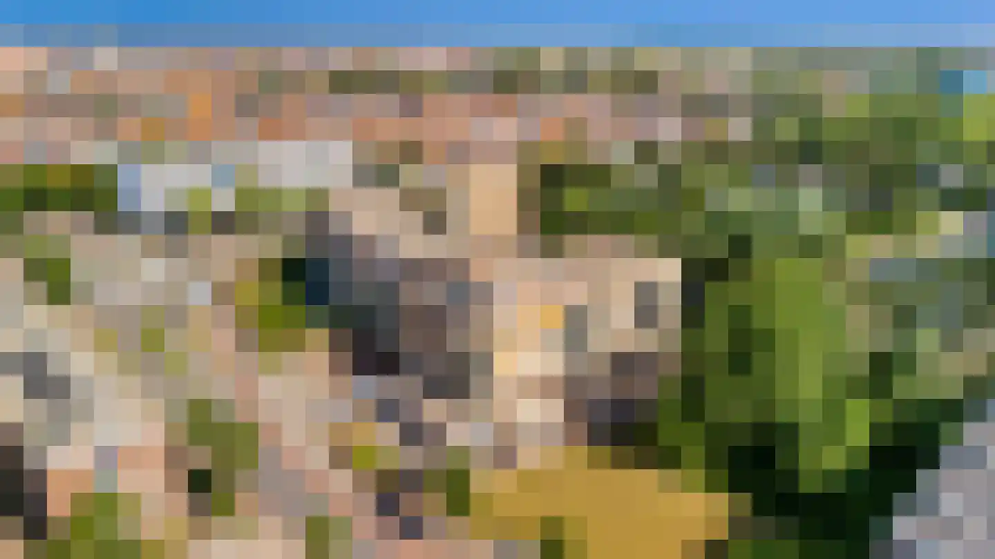 Meeuwenlaan 78 Katwijk thumbnail 34