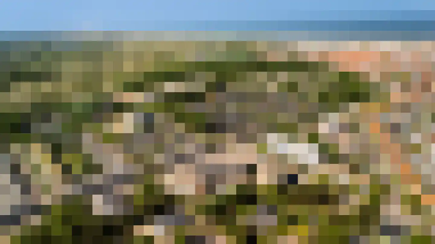 Meeuwenlaan 78 Katwijk thumbnail 35