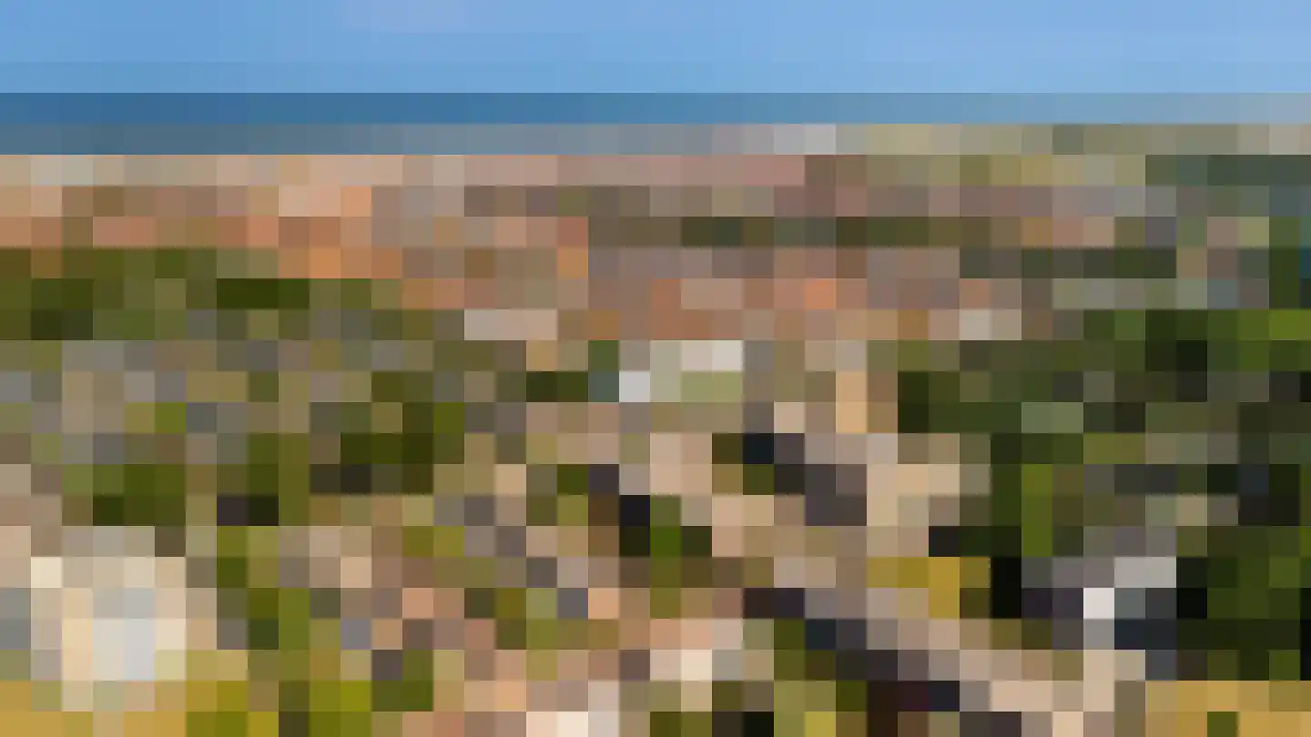 Meeuwenlaan 78 Katwijk thumbnail 36