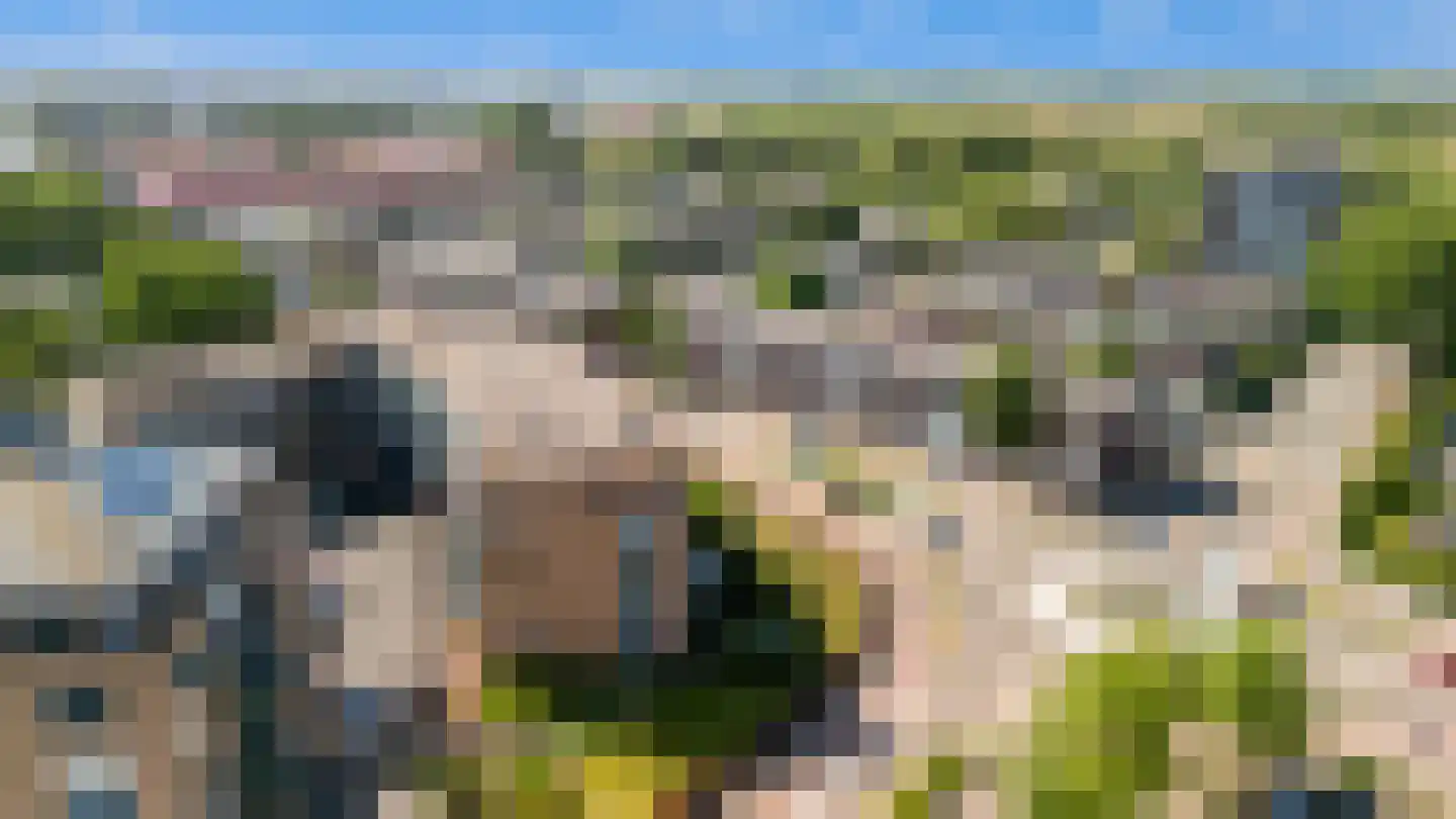 Meeuwenlaan 78 Katwijk thumbnail 37