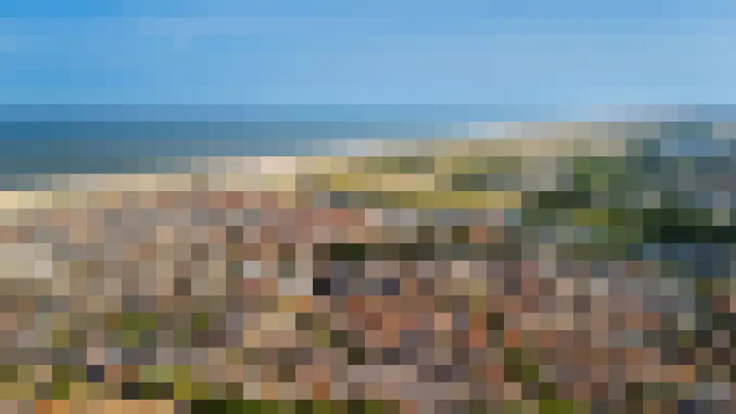 Meeuwenlaan 78 Katwijk thumbnail 39