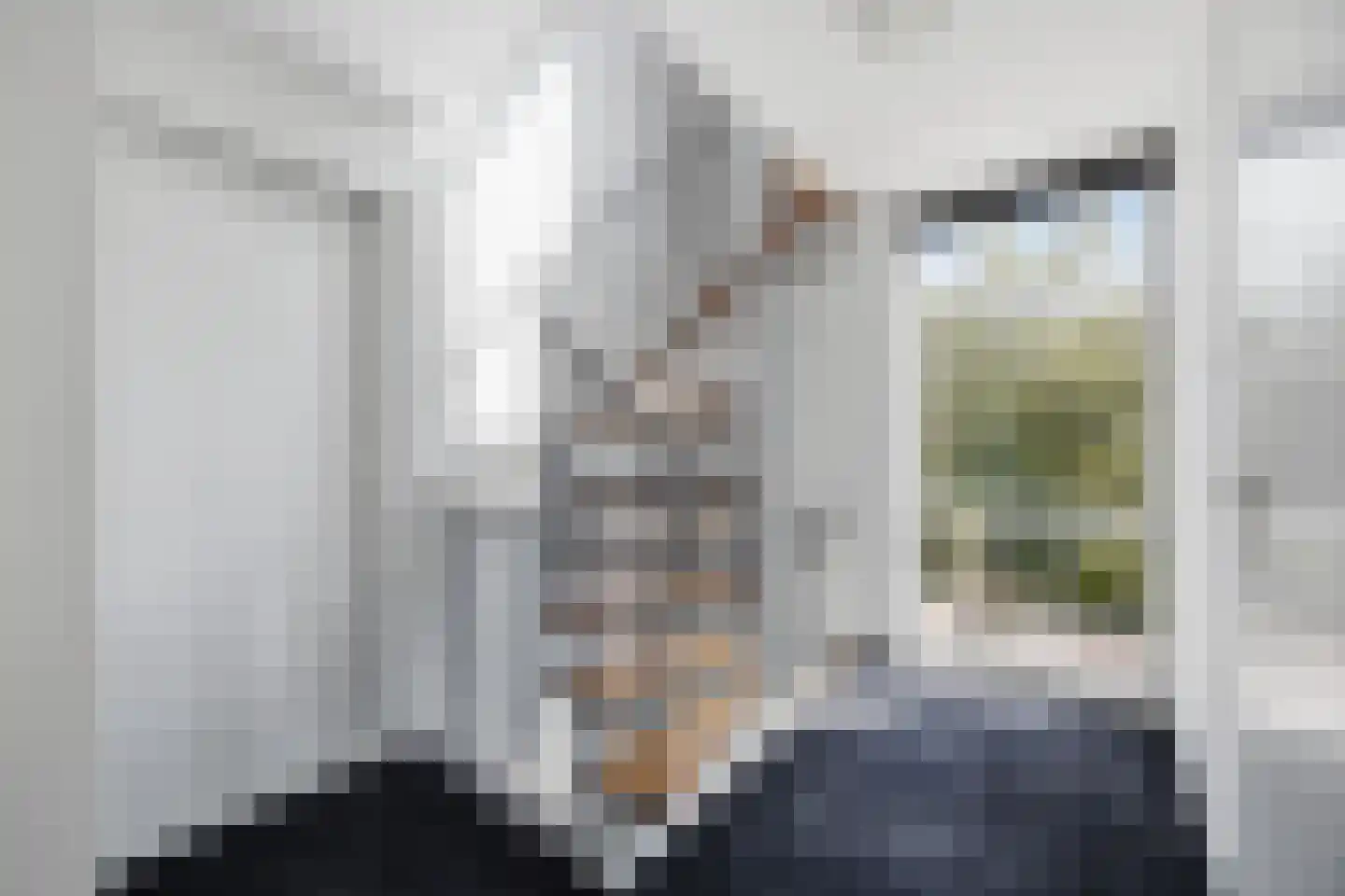 Meeuwenlaan 9 Made thumbnail 18
