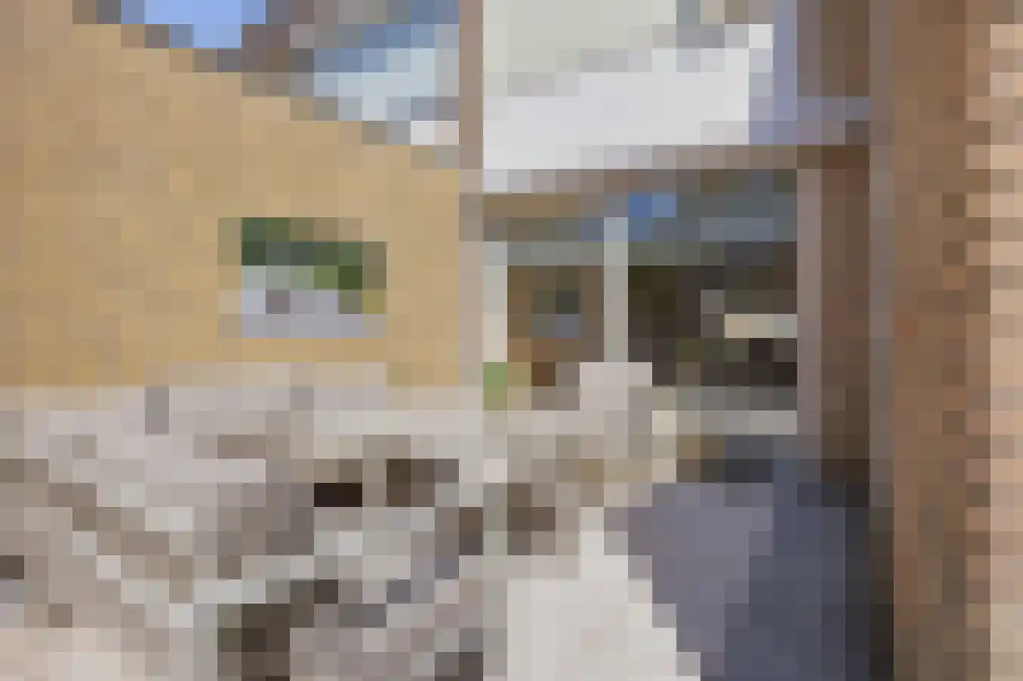 Meeuwenlaan 9 Made thumbnail 37