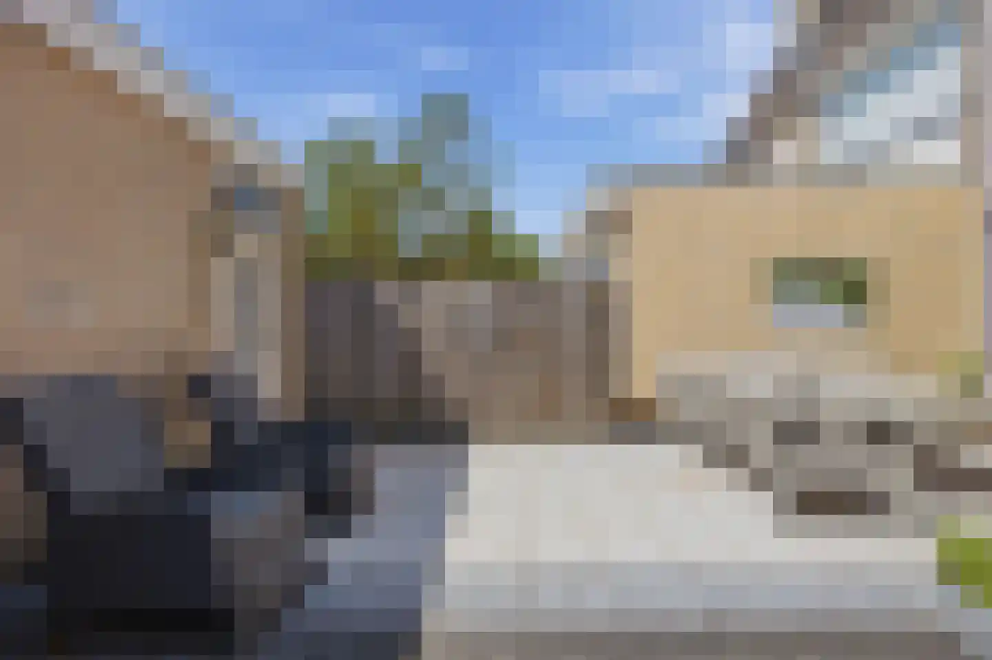Meeuwenlaan 9 Made thumbnail 38
