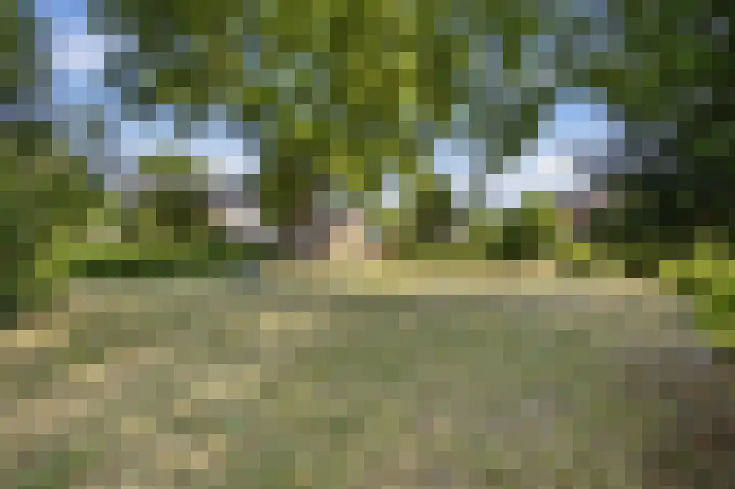 Meeuwenlaan 9 Made thumbnail 42