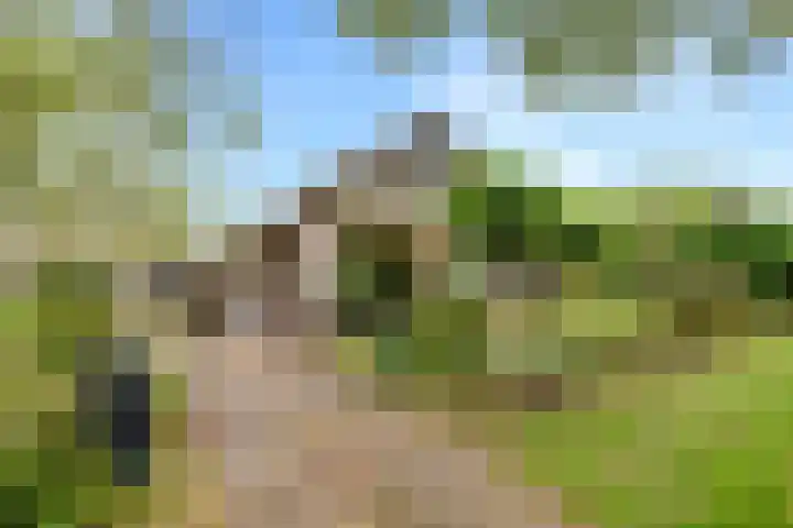 Meeuwenlaan 9 Oostvoorne