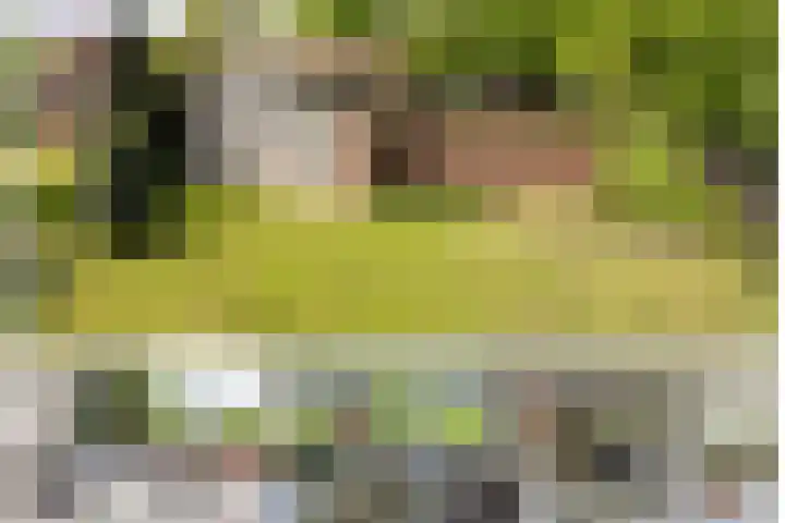 Meeuwenlaan 9 Vries