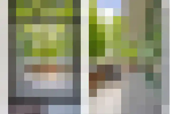 Meeuwenlaan 9 Vries thumbnail 11