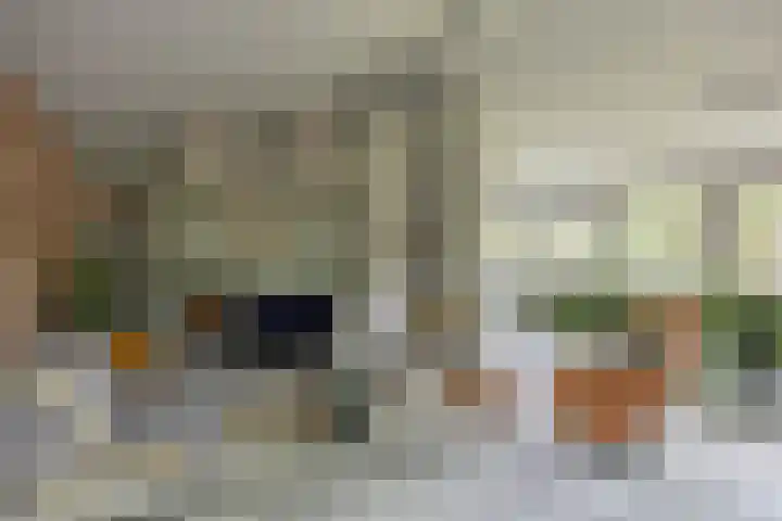 Meeuwenlaan 9 Vries thumbnail 12