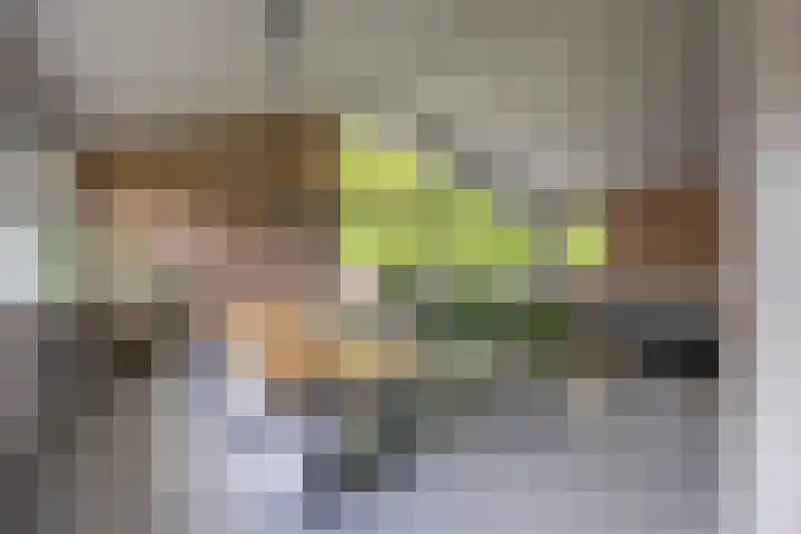 Meeuwenlaan 9 Vries thumbnail 14