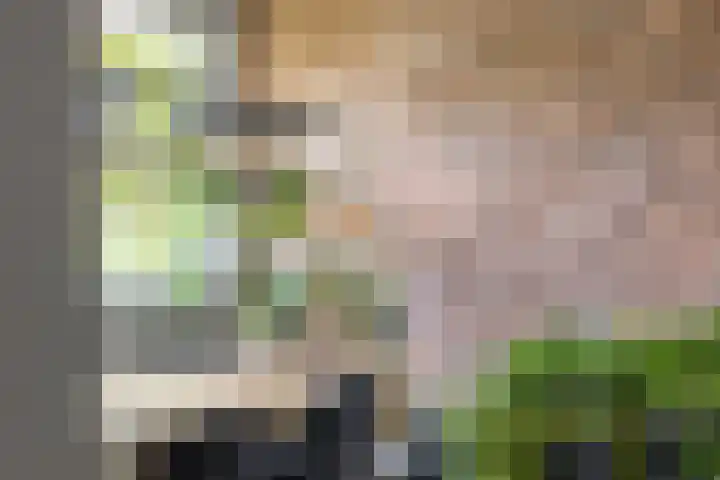Meeuwenlaan 9 Vries thumbnail 16
