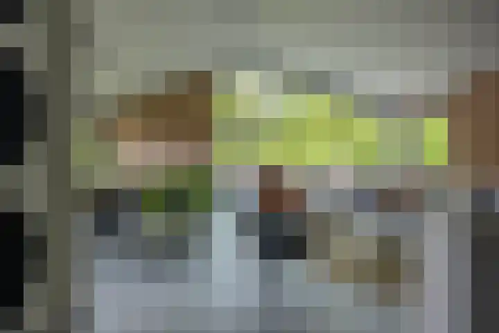 Meeuwenlaan 9 Vries thumbnail 17
