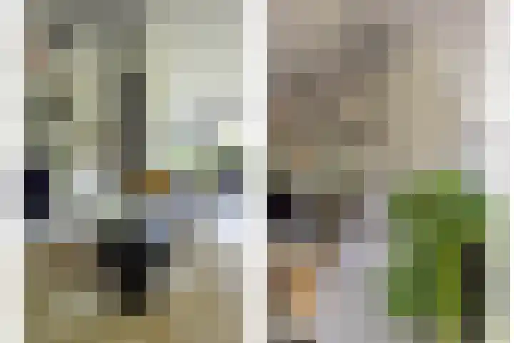 Meeuwenlaan 9 Vries thumbnail 18
