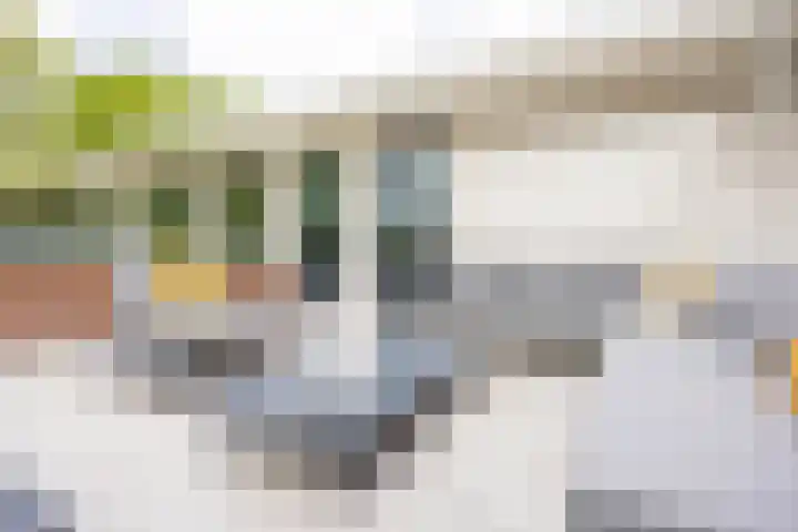 Meeuwenlaan 9 Vries thumbnail 25