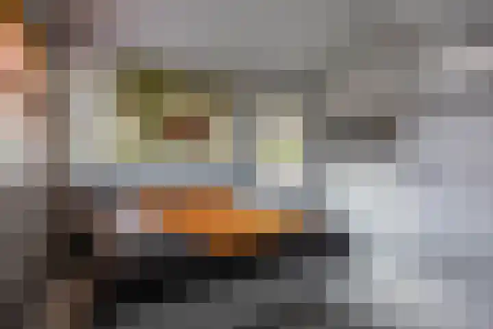 Meeuwenlaan 9 Vries thumbnail 28