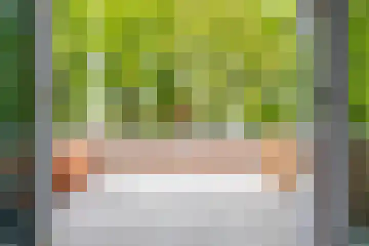 Meeuwenlaan 9 Vries thumbnail 35