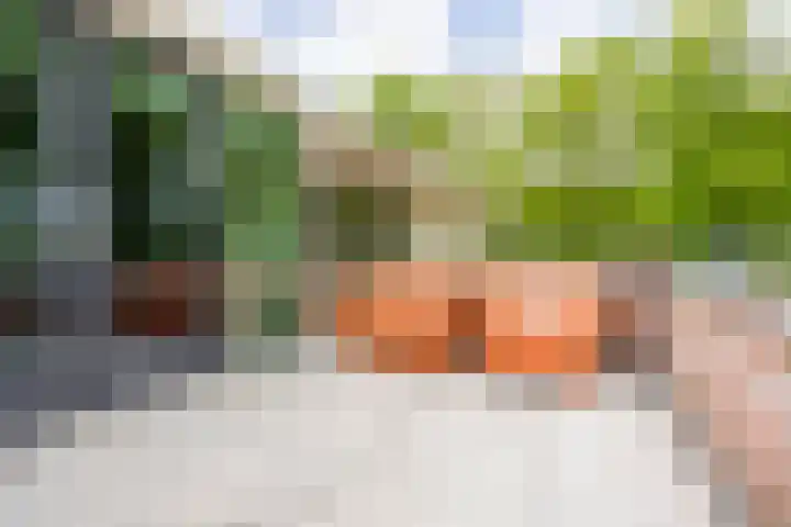 Meeuwenlaan 9 Vries thumbnail 36