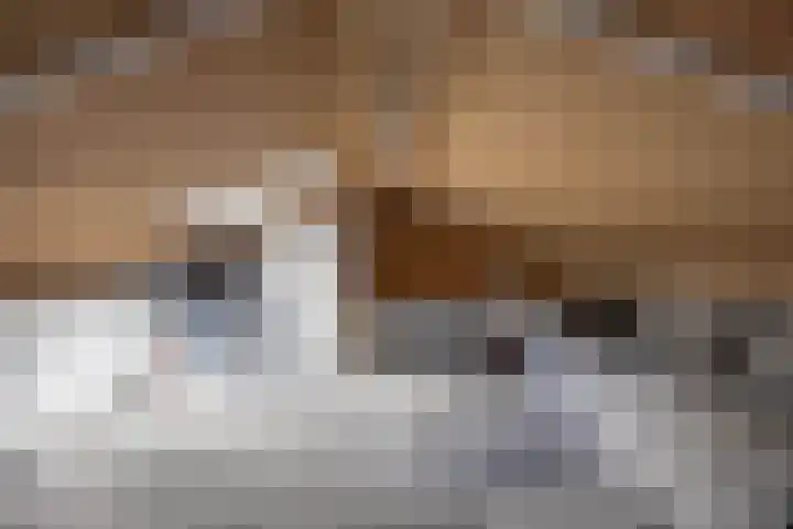 Meeuwenlaan 9 Vries thumbnail 38