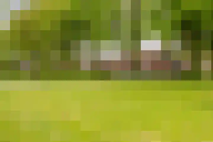 Meeuwenlaan 9 Vries thumbnail 39
