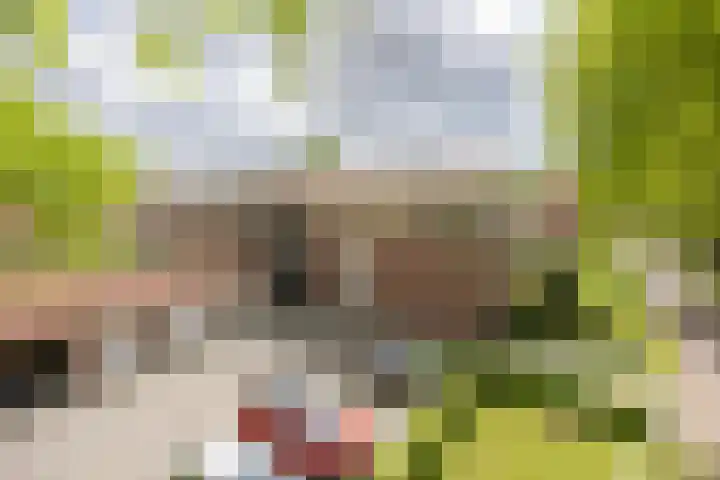 Meeuwenlaan 9 Vries thumbnail 41