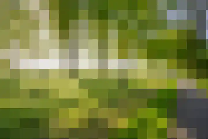 Meeuwenlaan 9 Vries thumbnail 45