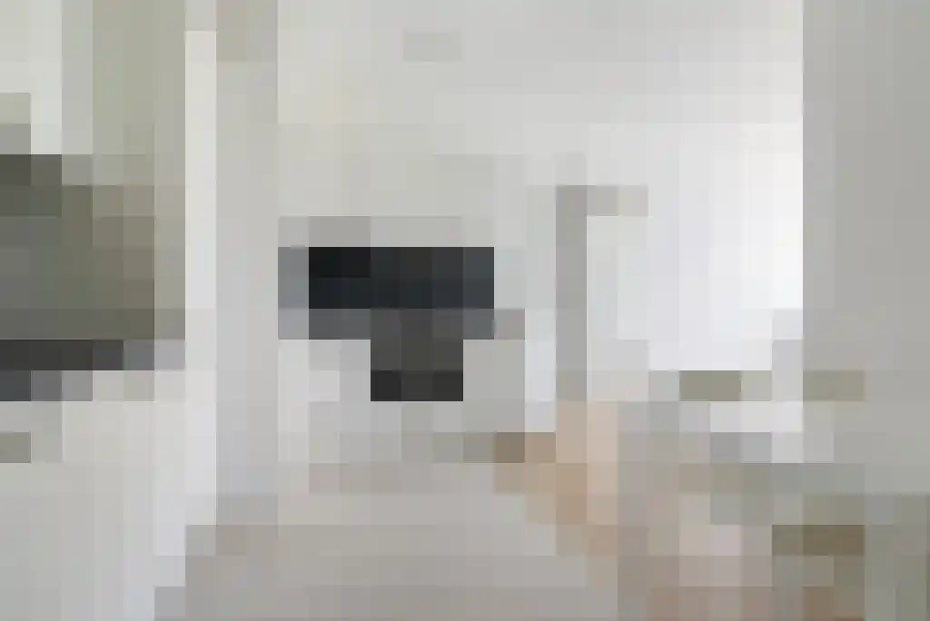 Meeuwenlaan 95 D Amsterdam thumbnail 6