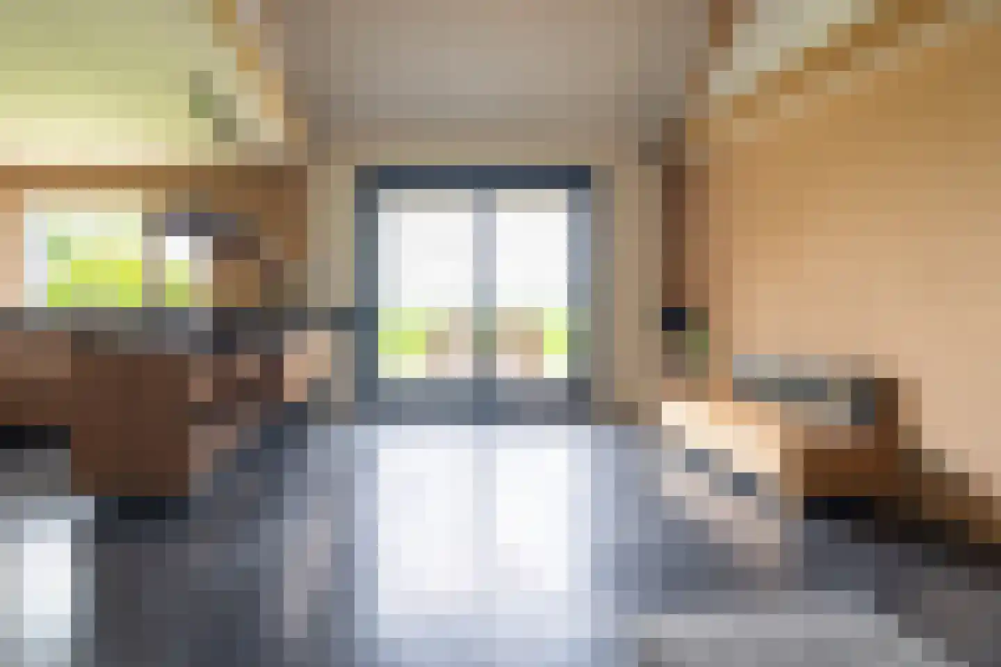 Meeuwensedijk 5 Meeuwen thumbnail 14