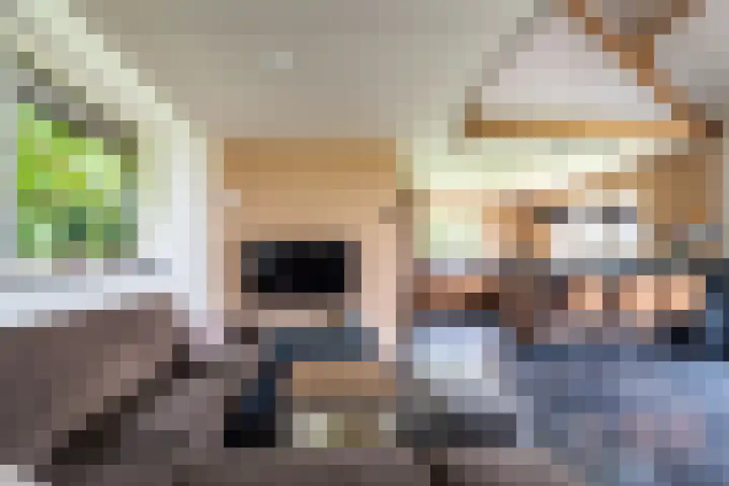 Meeuwensedijk 5 Meeuwen thumbnail 16