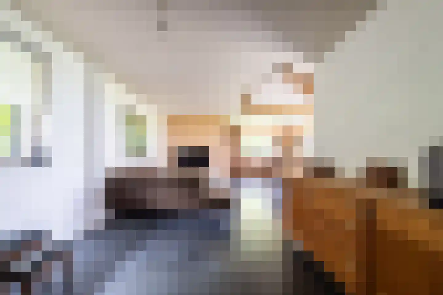 Meeuwensedijk 5 Meeuwen thumbnail 17