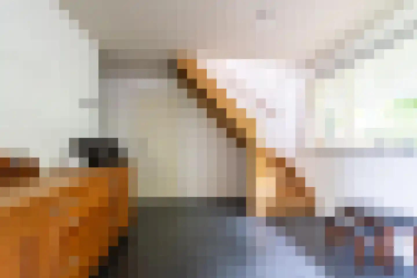 Meeuwensedijk 5 Meeuwen thumbnail 18