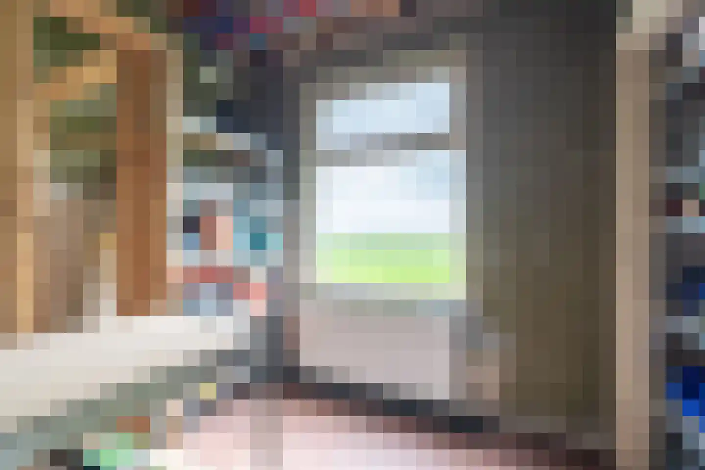 Meeuwensedijk 5 Meeuwen thumbnail 26