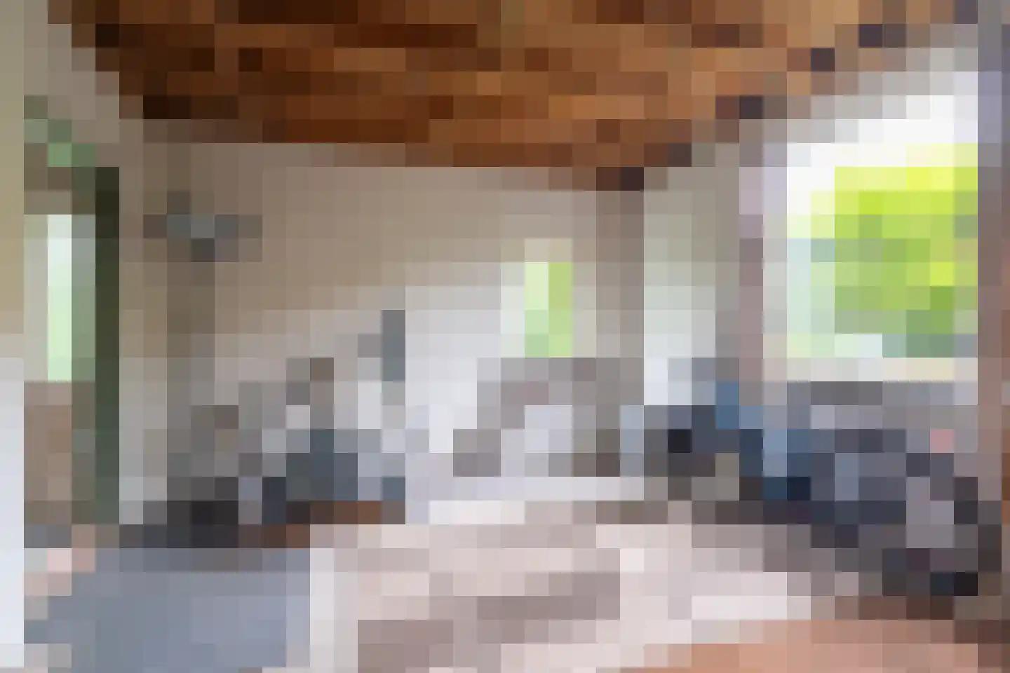 Meeuwensedijk 5 Meeuwen thumbnail 27