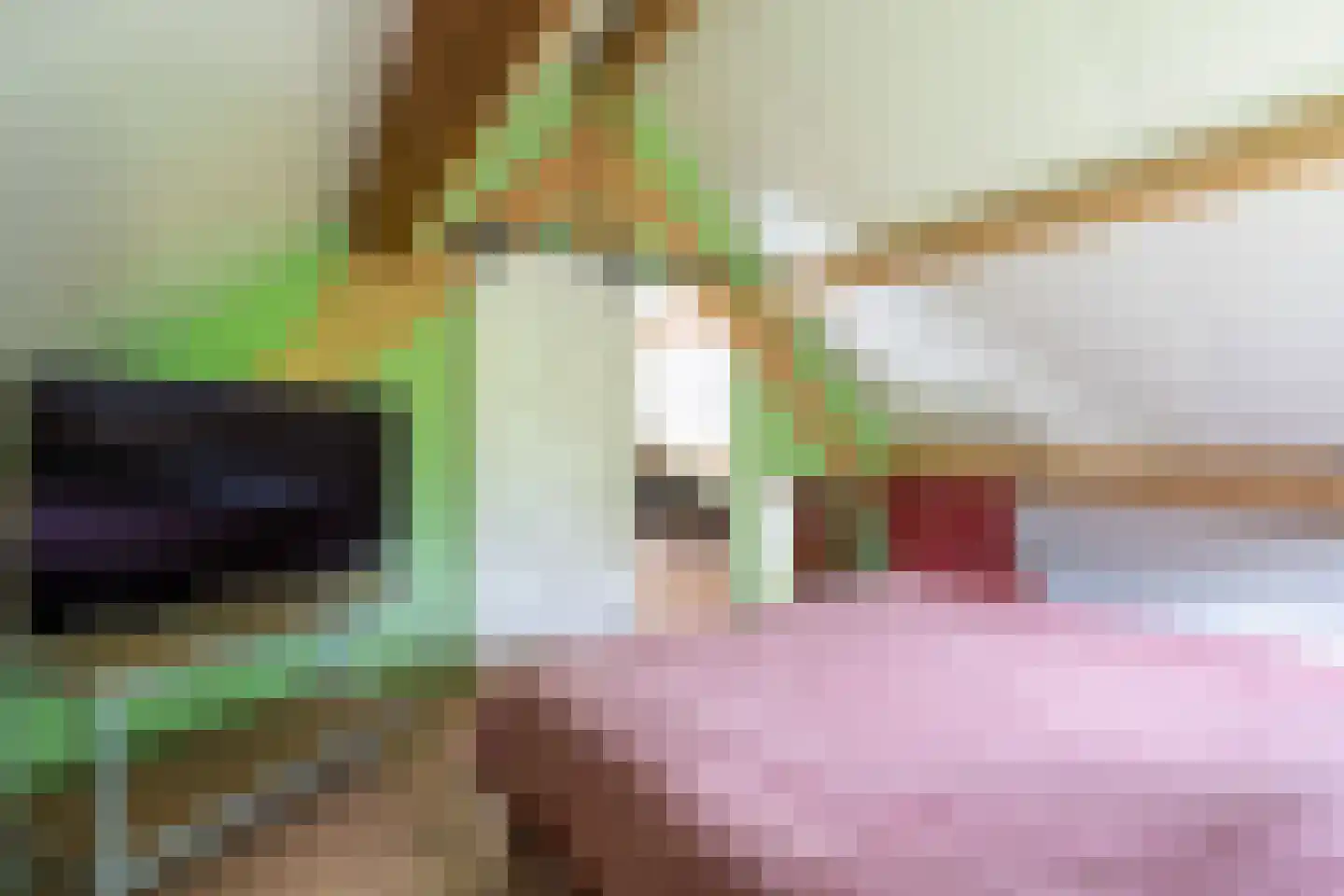 Meeuwensedijk 5 Meeuwen thumbnail 31