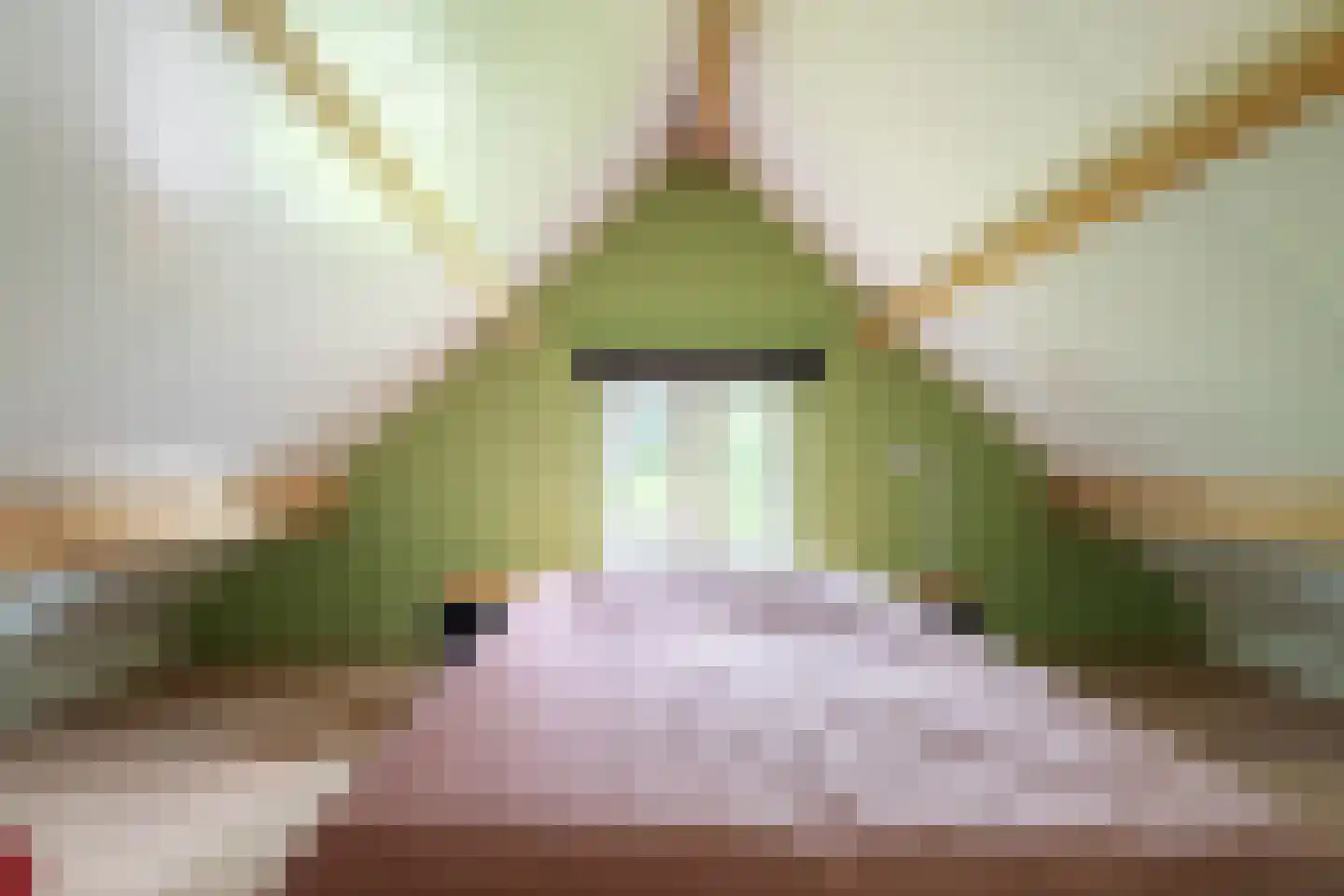 Meeuwensedijk 5 Meeuwen thumbnail 32
