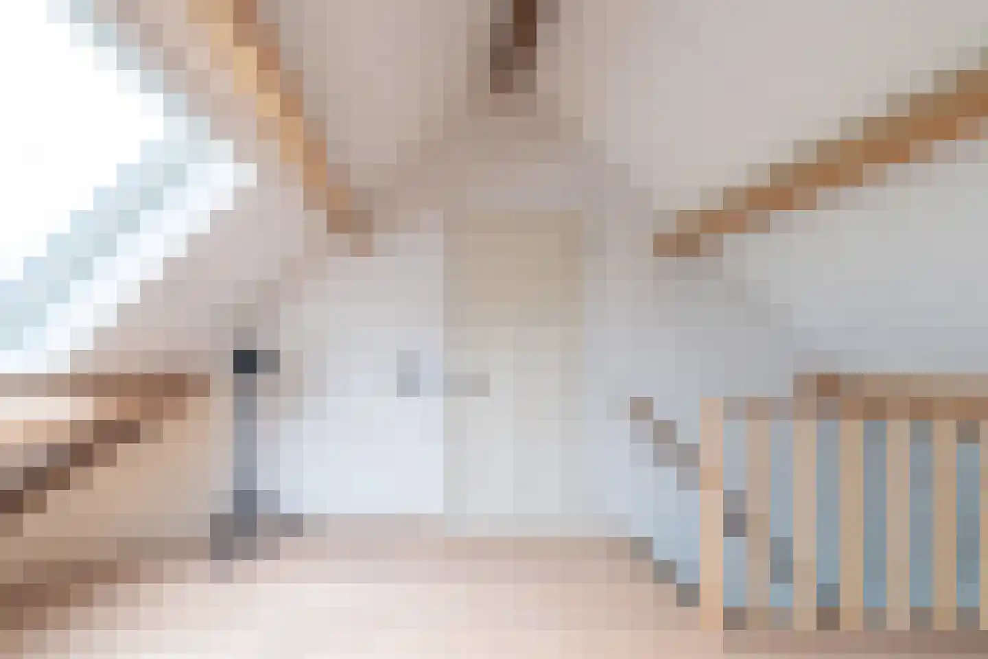 Meeuwensedijk 5 Meeuwen thumbnail 35