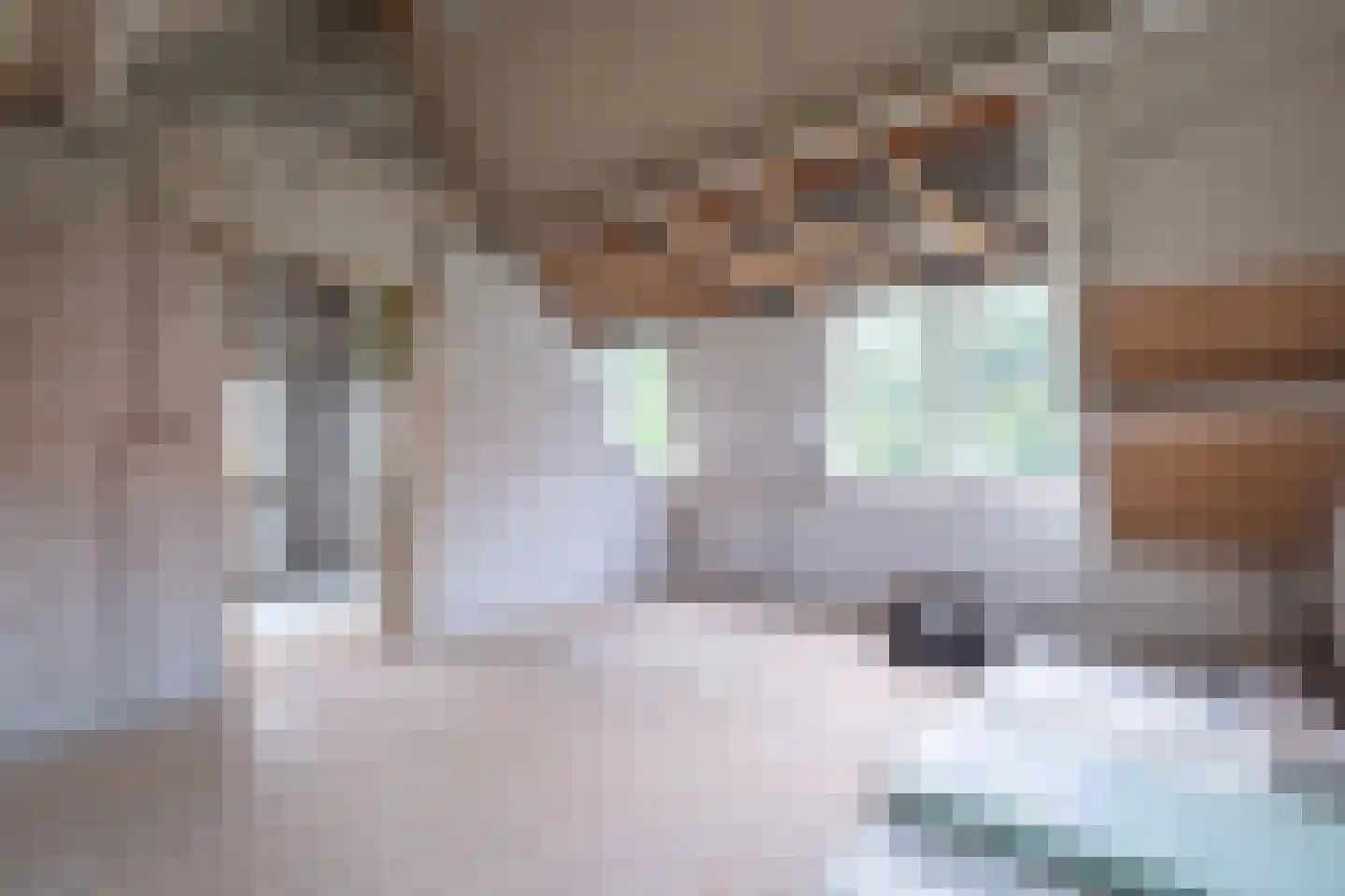 Meeuwensedijk 5 Meeuwen thumbnail 36