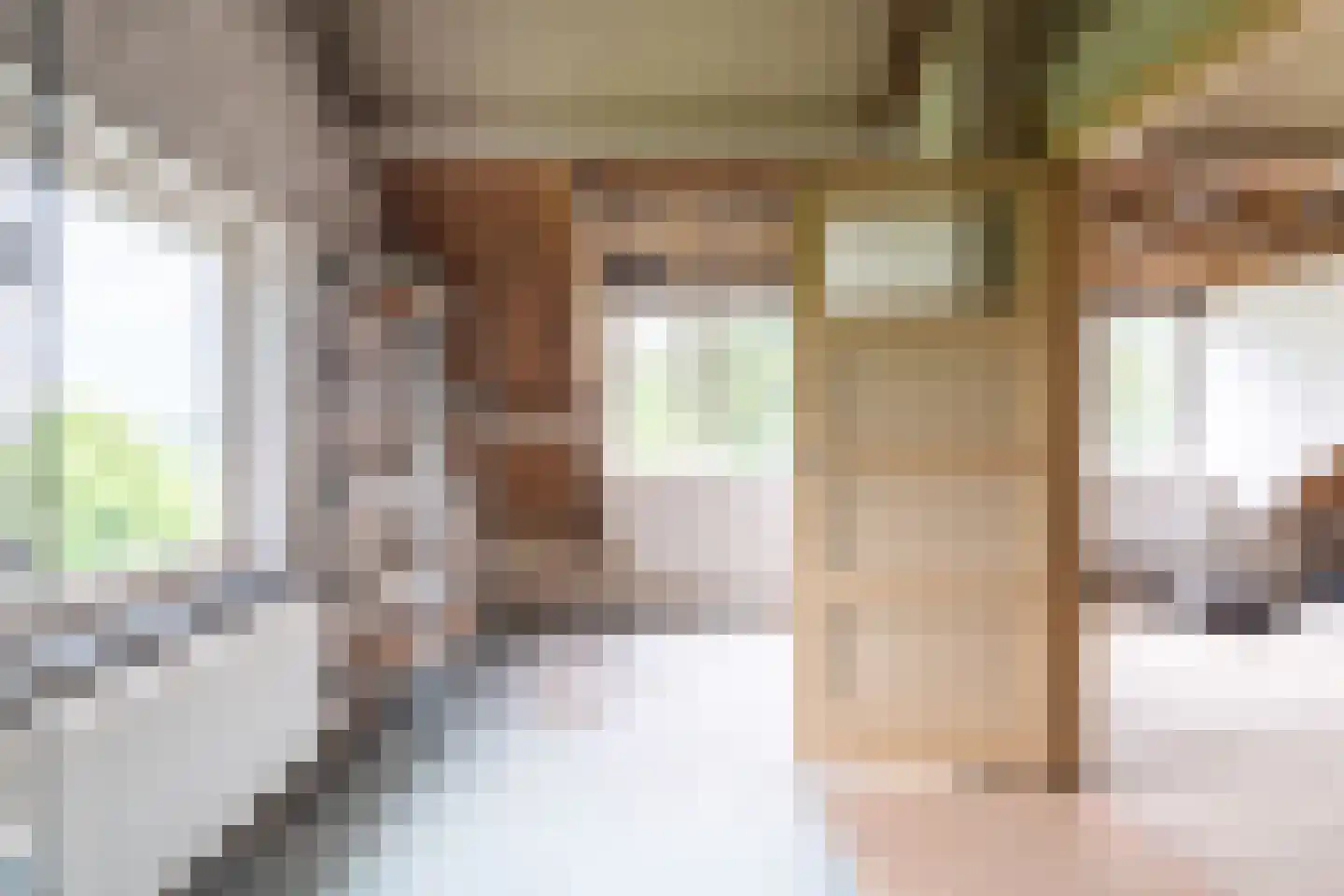 Meeuwensedijk 5 Meeuwen thumbnail 38