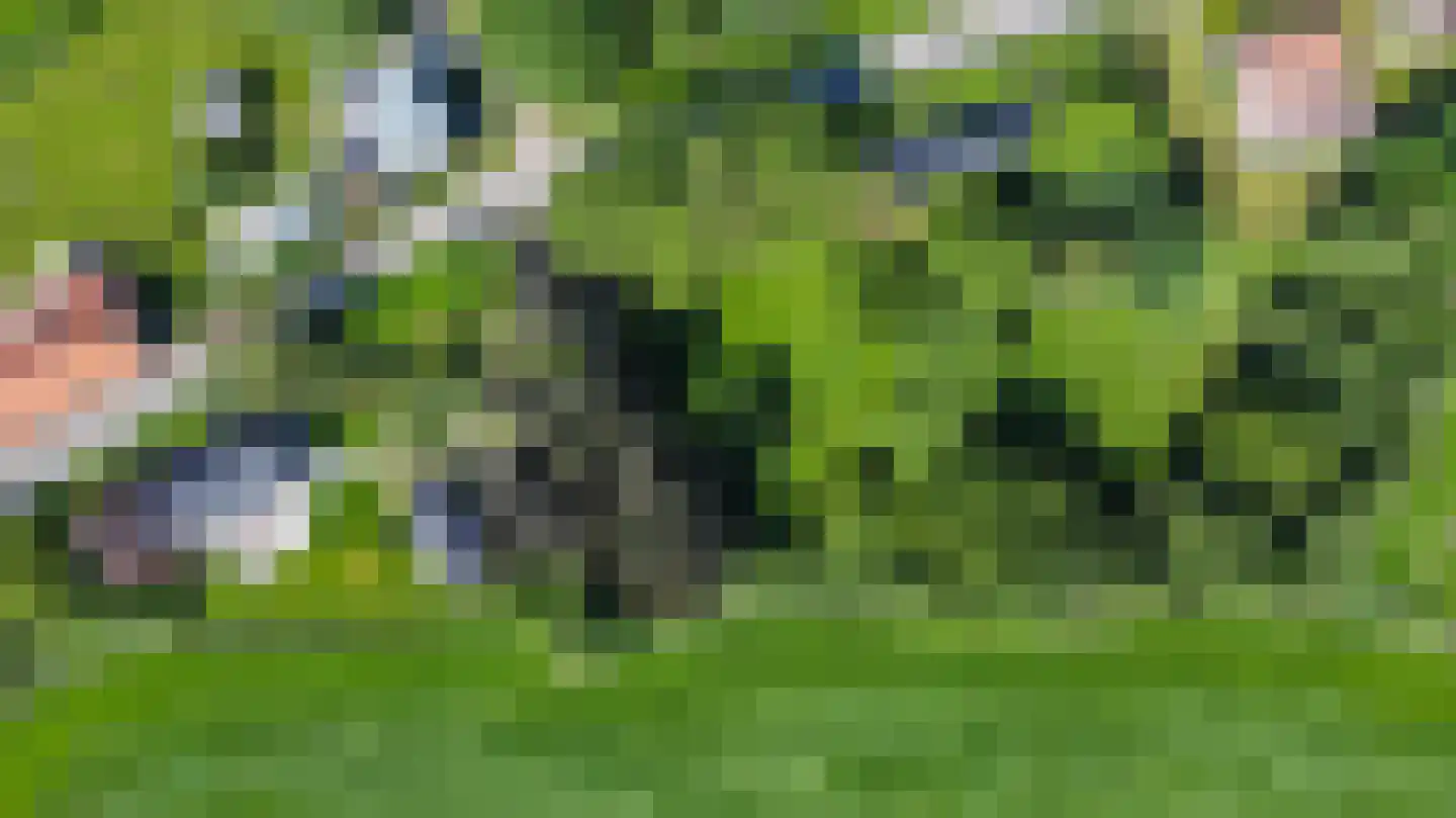 Meeuwensedijk 5 Meeuwen thumbnail 4