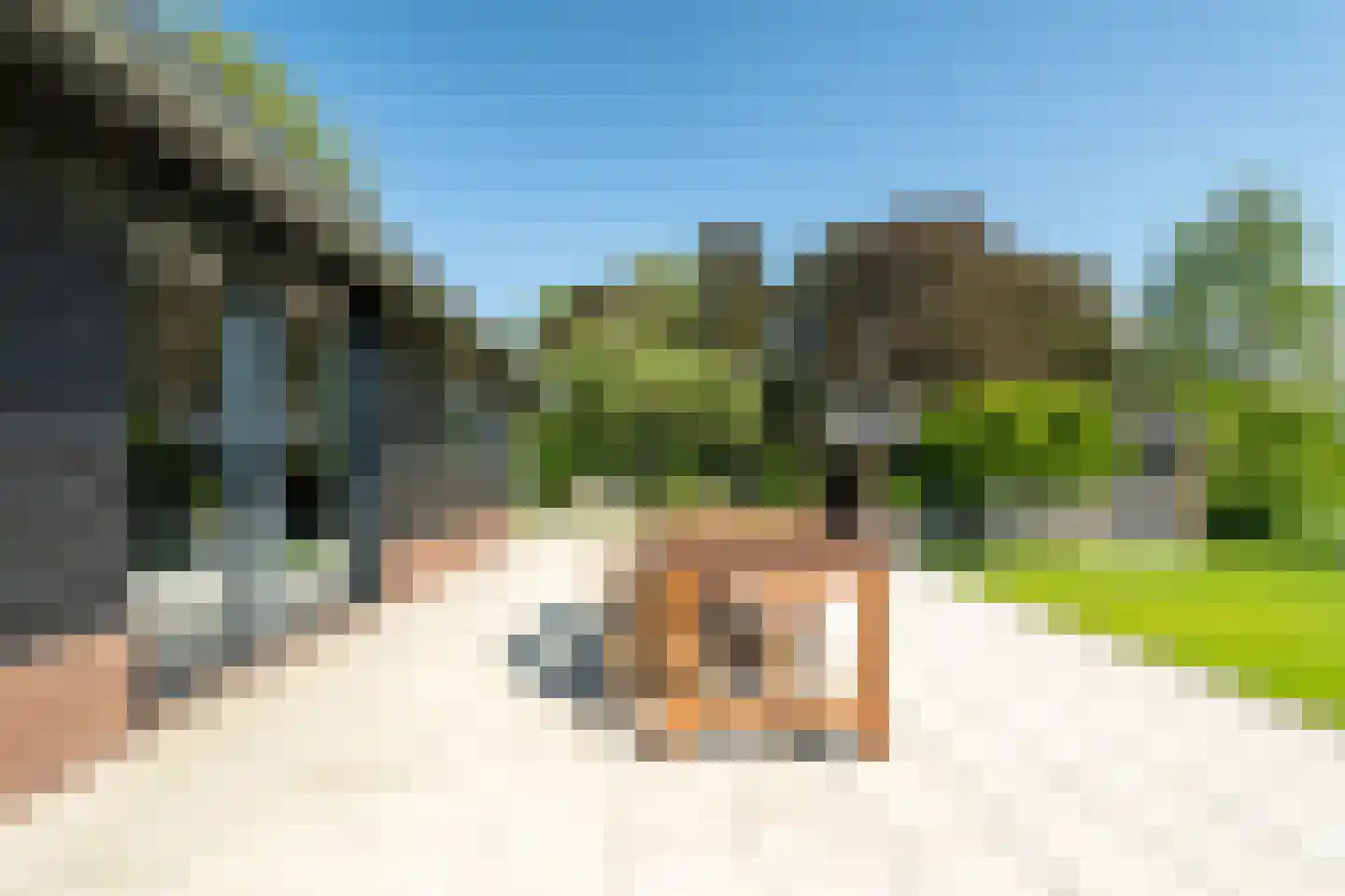 Meeuwensedijk 5 Meeuwen thumbnail 43