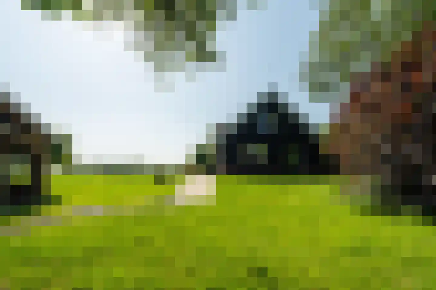 Meeuwensedijk 5 Meeuwen thumbnail 45