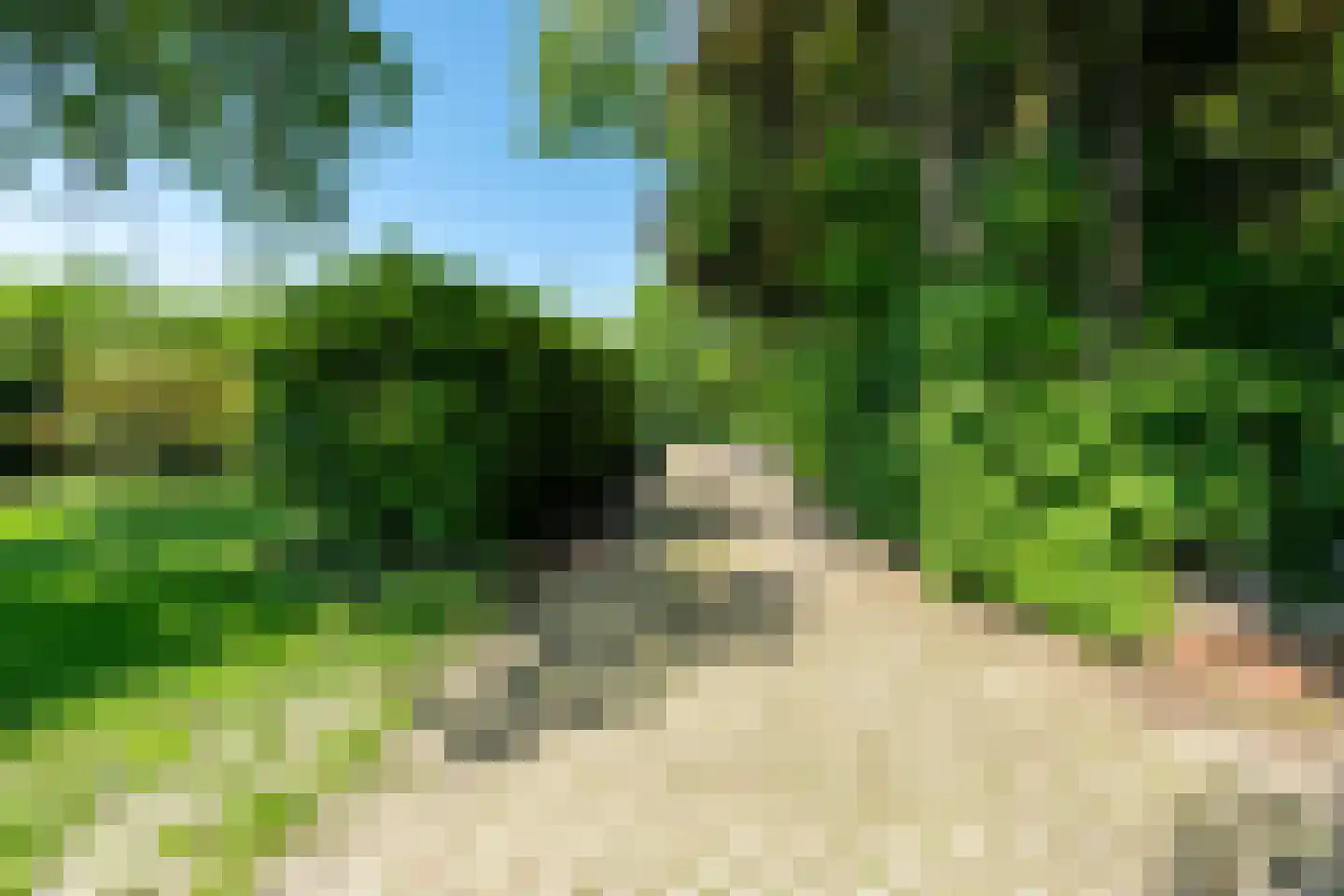 Meeuwensedijk 5 Meeuwen thumbnail 46