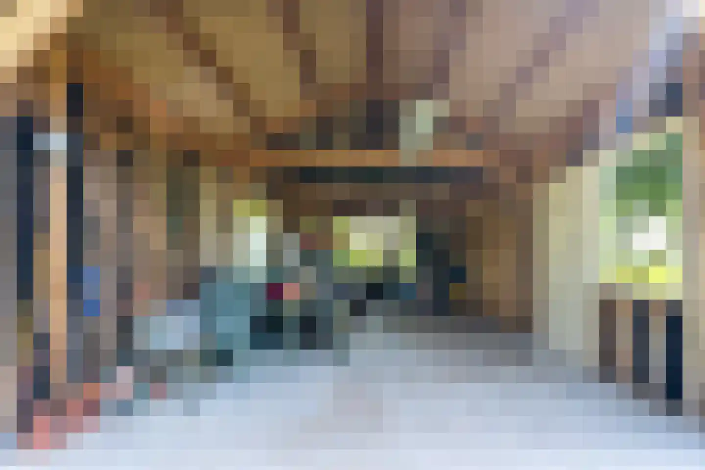 Meeuwensedijk 5 Meeuwen thumbnail 48