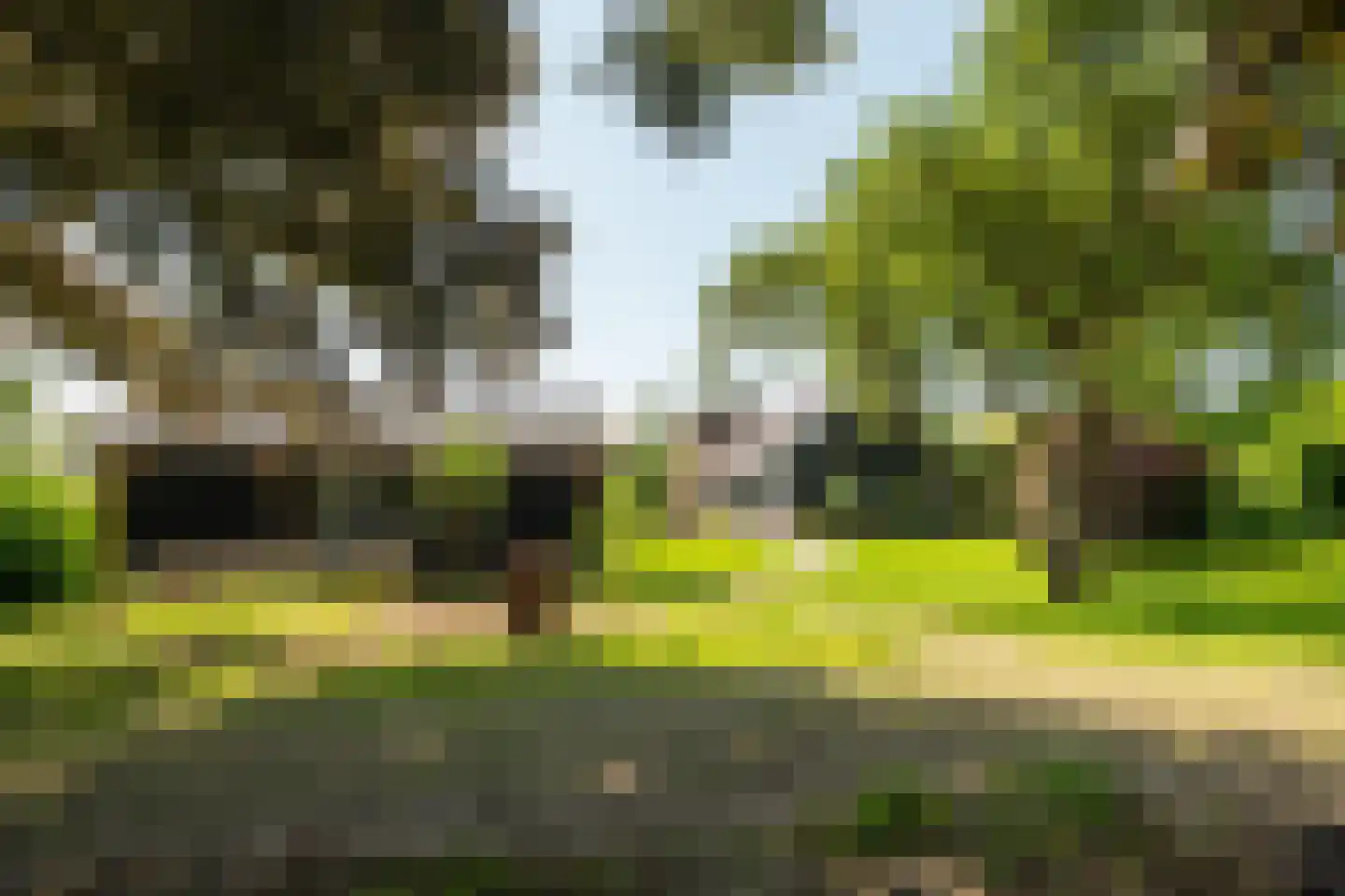Meeuwensedijk 5 Meeuwen thumbnail 5