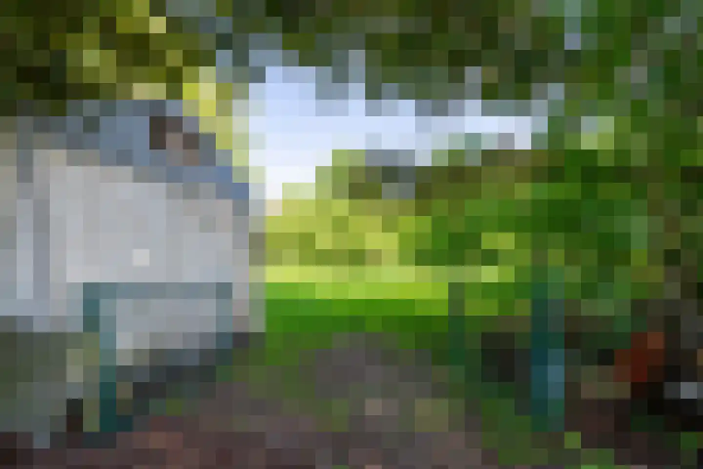 Meeuwensedijk 5 Meeuwen thumbnail 50
